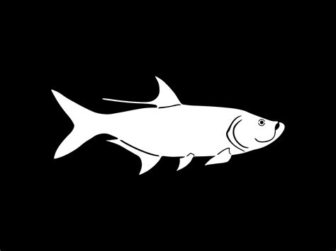 tarpon silhouette|tarpon silhouette images.